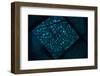 Mindfulness-Doug Chinnery-Framed Photographic Print