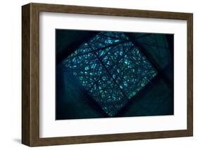 Mindfulness-Doug Chinnery-Framed Photographic Print