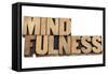 Mindfulness-PixelsAway-Framed Stretched Canvas