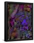 Essential Black