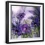 Black Frame
