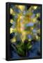 Essential Black
