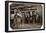 Mine Drivers and Trapper 1908 Archival Photo Poster Print-null-Framed Poster