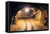 Mine Gold Underground Tunnel Railroad-TTstudio-Framed Stretched Canvas