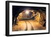 Mine Gold Underground Tunnel Railroad-TTstudio-Framed Photographic Print