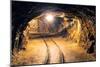 Mine Gold Underground Tunnel Railroad-TTstudio-Mounted Photographic Print