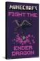 Minecraft - Fight The Ender Dragon-Trends International-Stretched Canvas