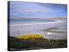 Mined Beach from the Falkland War, Near Stanley, Falkland Islands, South America-Geoff Renner-Stretched Canvas