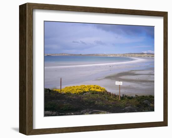 Mined Beach from the Falkland War, Near Stanley, Falkland Islands, South America-Geoff Renner-Framed Photographic Print