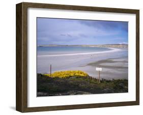 Mined Beach from the Falkland War, Near Stanley, Falkland Islands, South America-Geoff Renner-Framed Photographic Print