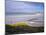 Mined Beach from the Falkland War, Near Stanley, Falkland Islands, South America-Geoff Renner-Mounted Photographic Print
