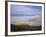 Mined Beach from the Falkland War, Near Stanley, Falkland Islands, South America-Geoff Renner-Framed Photographic Print