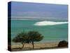 Mined Sea Salt at Shallow South End of the Dead Sea Near Ein Boqeq, Israel, Middle East-Robert Francis-Stretched Canvas