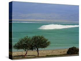 Mined Sea Salt at Shallow South End of the Dead Sea Near Ein Boqeq, Israel, Middle East-Robert Francis-Stretched Canvas