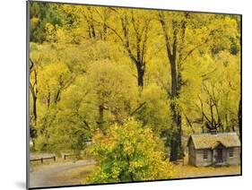 Miner's Cottage, Arrowtown, Otago, South Island, New Zealand, Pacific-Jochen Schlenker-Mounted Photographic Print