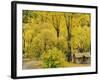 Miner's Cottage, Arrowtown, Otago, South Island, New Zealand, Pacific-Jochen Schlenker-Framed Photographic Print