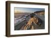 Mineral concretions at Shore Acres State Park, Oregon.-Alan Majchrowicz-Framed Photographic Print