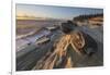 Mineral concretions at Shore Acres State Park, Oregon.-Alan Majchrowicz-Framed Photographic Print