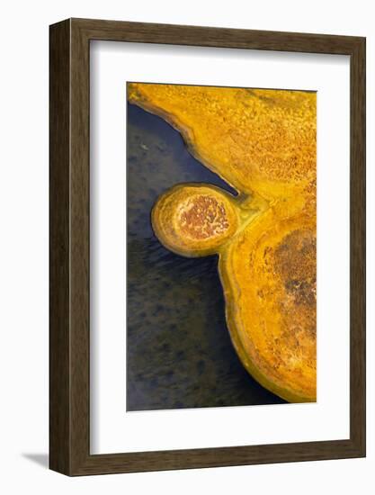 Mineral deposits from hotsprings, Upper Geyser Basin, Yellowstone , Wyoming-Bill Coster-Framed Photographic Print