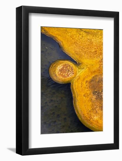 Mineral deposits from hotsprings, Upper Geyser Basin, Yellowstone , Wyoming-Bill Coster-Framed Photographic Print