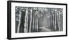 Mineral Forest-Tandi Venter-Framed Giclee Print