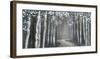 Mineral Forest-Tandi Venter-Framed Giclee Print