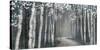 Mineral Forest-Tandi Venter-Stretched Canvas