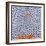 Mineral Kingdom-Sarah Medway-Framed Giclee Print