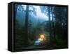 Mineral Park Campground, Mount Baker-Snoqualmie National Forest, Washington-Ethan Welty-Framed Stretched Canvas