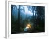 Mineral Park Campground, Mount Baker-Snoqualmie National Forest, Washington-Ethan Welty-Framed Photographic Print