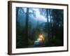 Mineral Park Campground, Mount Baker-Snoqualmie National Forest, Washington-Ethan Welty-Framed Photographic Print