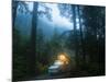 Mineral Park Campground, Mount Baker-Snoqualmie National Forest, Washington-Ethan Welty-Mounted Photographic Print