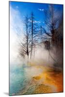 Mineral Pool in Summer-Howard Ruby-Mounted Photographic Print