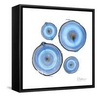 Mineral Rings 1-Albert Koetsier-Framed Stretched Canvas