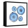 Mineral Rings 1-Albert Koetsier-Framed Stretched Canvas