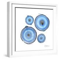 Mineral Rings 1-Albert Koetsier-Framed Premium Giclee Print