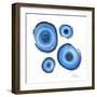 Mineral Rings 2-Albert Koetsier-Framed Premium Giclee Print