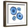 Mineral Rings 2-Albert Koetsier-Framed Art Print