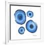 Mineral Rings 2-Albert Koetsier-Framed Premium Giclee Print