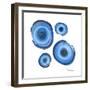 Mineral Rings 2-Albert Koetsier-Framed Premium Giclee Print