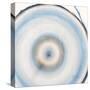 Mineral Rings 3 Soft-Albert Koetsier-Stretched Canvas