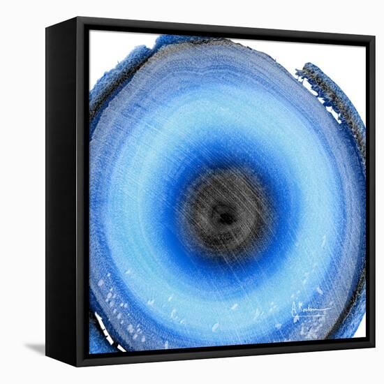 Mineral Rings 4-Albert Koetsier-Framed Stretched Canvas
