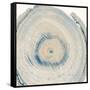 Mineral Rings 6-Albert Koetsier-Framed Stretched Canvas