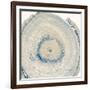 Mineral Rings 6-Albert Koetsier-Framed Art Print