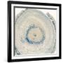 Mineral Rings 6-Albert Koetsier-Framed Art Print