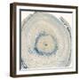 Mineral Rings 6-Albert Koetsier-Framed Premium Giclee Print