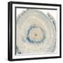 Mineral Rings 6-Albert Koetsier-Framed Premium Giclee Print