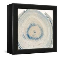 Mineral Rings 6-Albert Koetsier-Framed Stretched Canvas