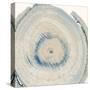 Mineral Rings 6-Albert Koetsier-Stretched Canvas