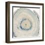 Mineral Rings 6-Albert Koetsier-Framed Art Print